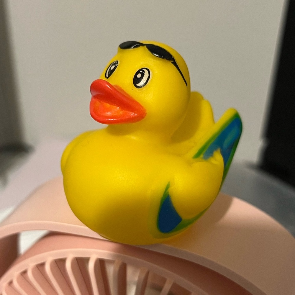 Meet your Posher, Joyce
